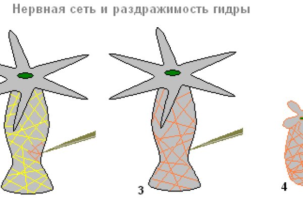 Кракен онлайн vtor run